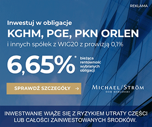 Publiczna emisja WIG20